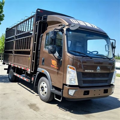 Light-duty Dump Truck