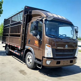 Light-duty Dump Truck